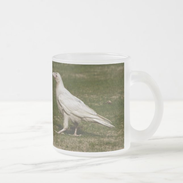 Rare White Raven Wildlife Photography Frosted Glass Coffee Mug (Right)