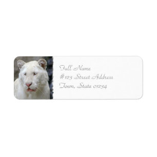 Rare White Tiger Mailing Label