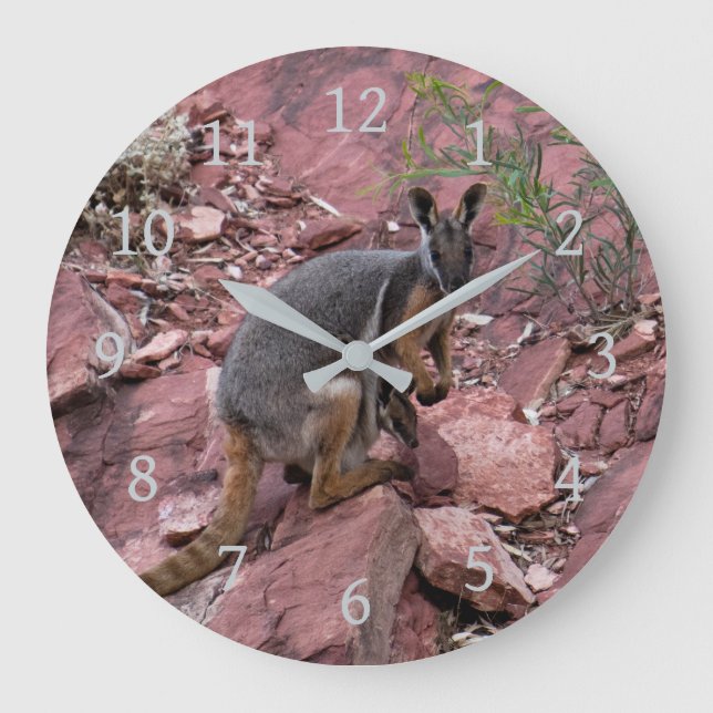 Rare Yellow-footed Rock Wallaby and Baby Australia Large Clock (Front)
