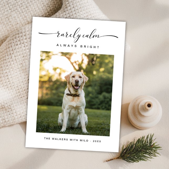 Rarely Calm Always Bright Cute Dog Photo Christmas Holiday Card (Creator Uploaded)