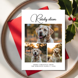 Rarely Christmas in the Snow Winter Dog Photo card