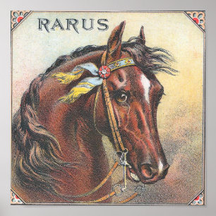 Rarus Vintage Racehorse Portrait Poster