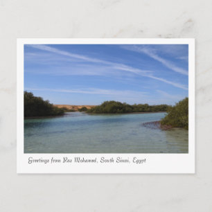 Ras Mohamed Nature Preserve Park, Sinai, Egypt Postcard