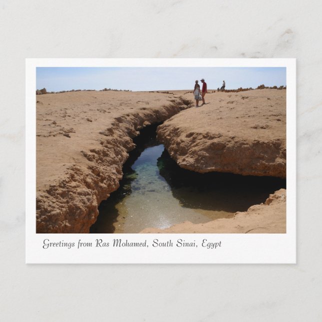 Ras Mohamed Nature Preserve Park, Sinai, Egypt Postcard (Front)