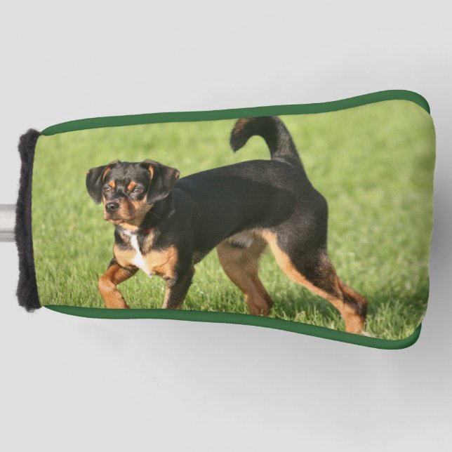 Rascal Golf Head Cover (Front)