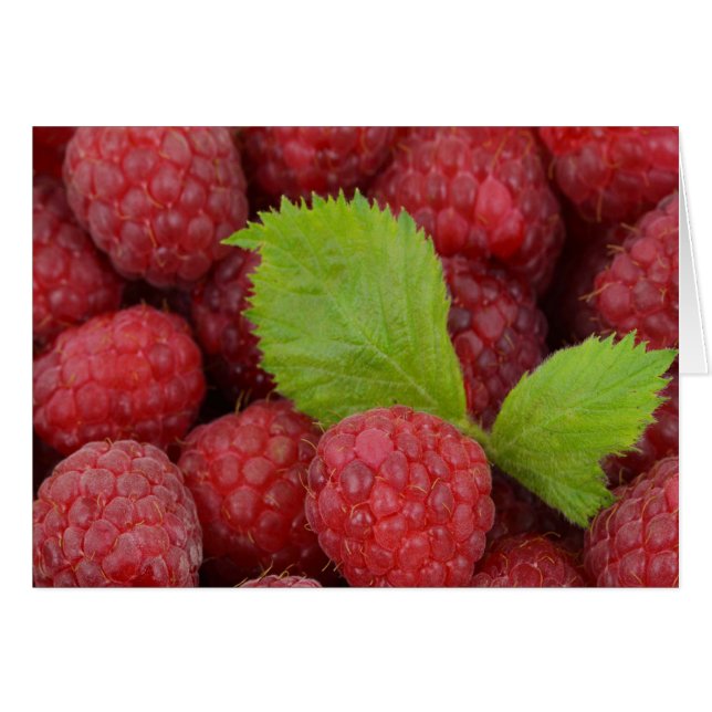 Raspberries (Front Horizontal)