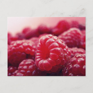 Raspberries 6 postcard