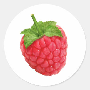 Raspberries Classic Round Sticker