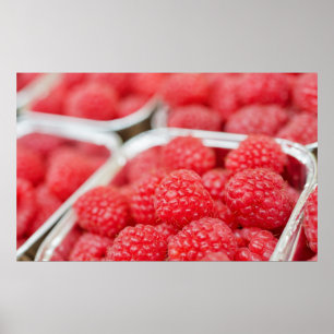 raspberries closeup poster