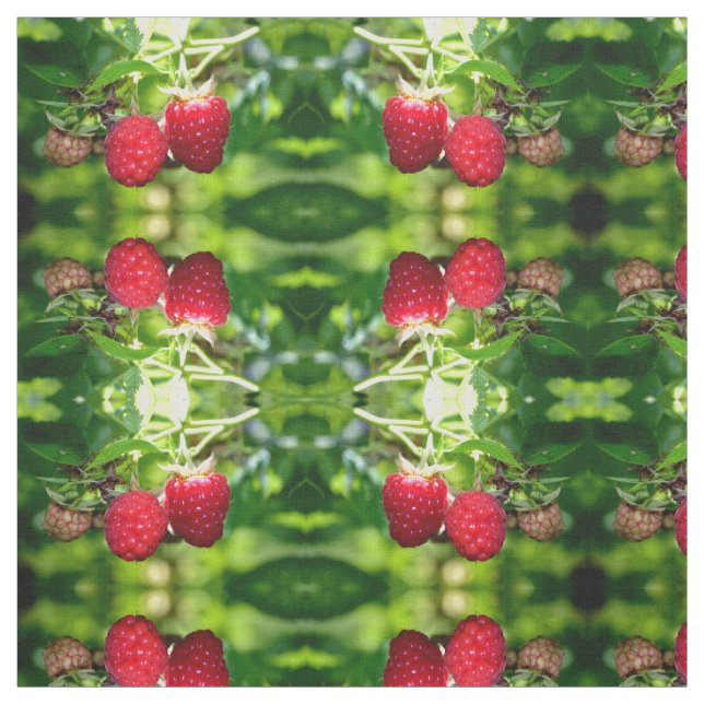 Raspberries Fabric (Swatch)