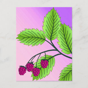 Raspberries on a branch postcard