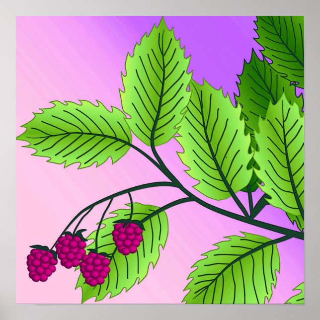 Raspberries on a branch poster (Front)