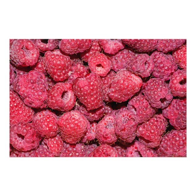 Raspberries Photo Print (Front)