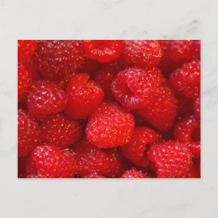 Raspberries Postcard