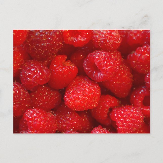 Raspberries Postcard (Front)