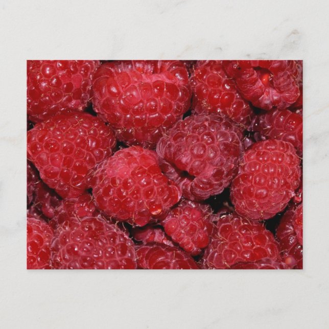 Raspberries Postcard (Front)