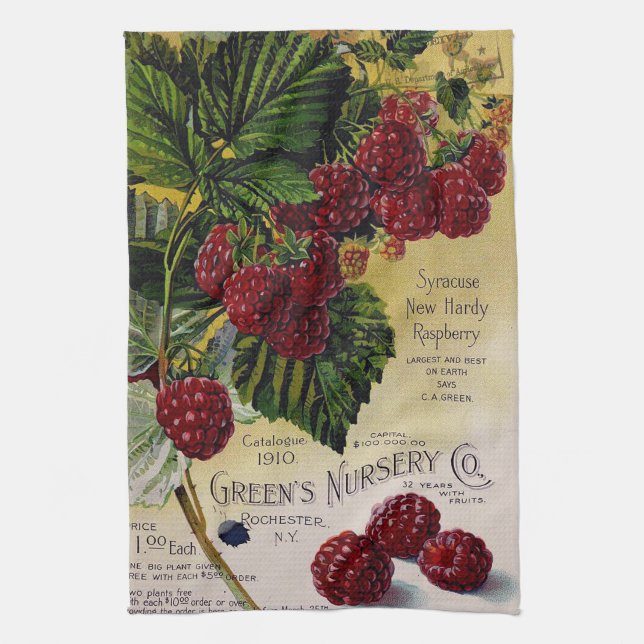 Raspberries Vintage Nursery Catalog Tea Towel (Vertical)