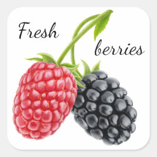 Raspberry and blackberry square sticker