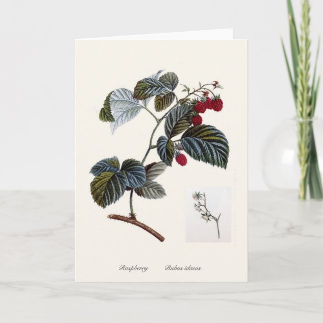 Raspberry Card (Front)