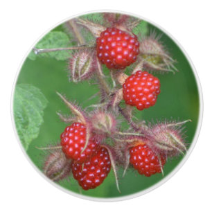 Raspberry Ceramic Knob