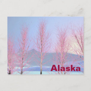 Raspberry Creme Birch Postcard