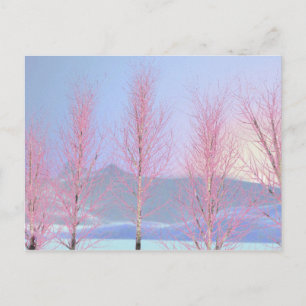Raspberry Creme Birch Postcard