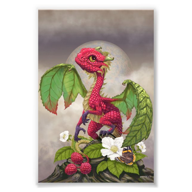 Raspberry Dragon 4x6 Print (Front)
