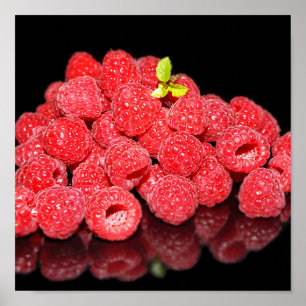 raspberry, food, fruit, berry, ripe, fresh, poster