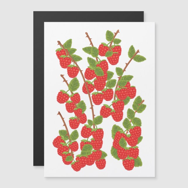 Raspberry fruit (Front/Back)