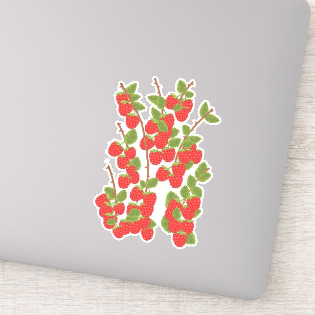 Raspberry fruit (Detail)