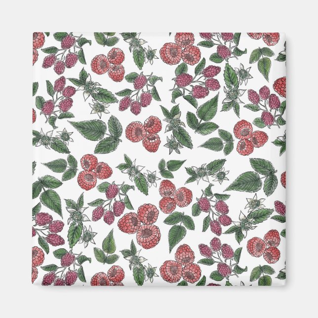 Raspberry Fruit Leaves Illustration Pattern Magnet (Front)