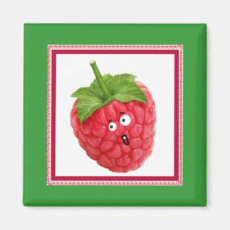 raspberry magnet