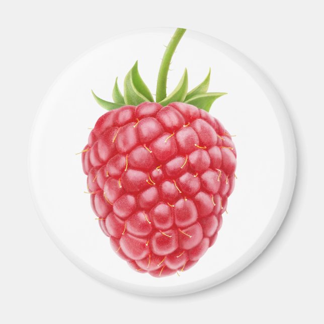 Raspberry Magnet (Front)