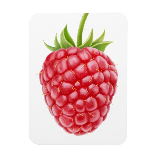 Raspberry Magnet (Vertical)