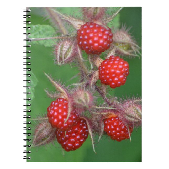 Raspberry Notebook (Front)