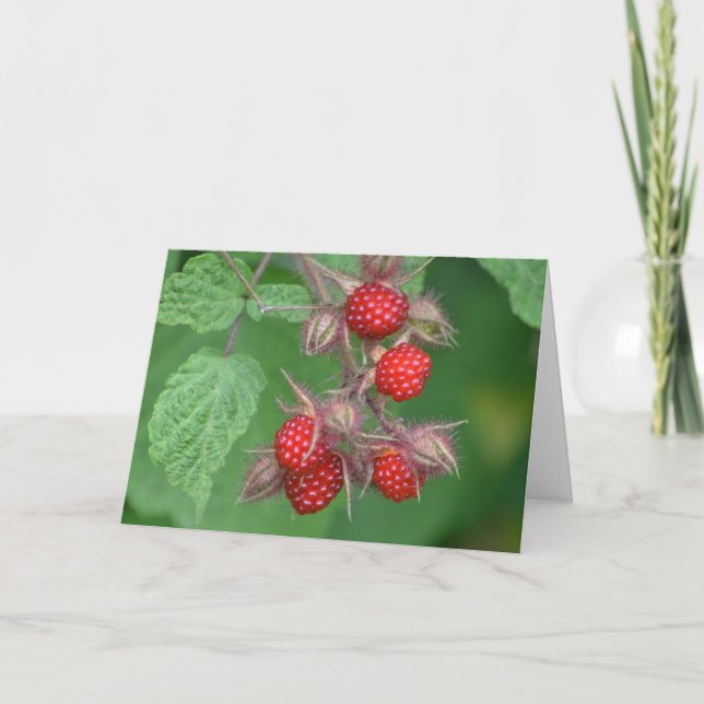Raspberry Notecard (Front)