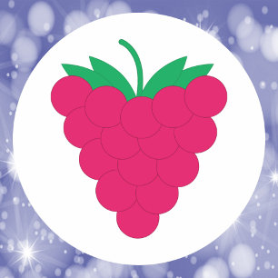 Raspberry Pink Fruit Berry Classic Round Sticker