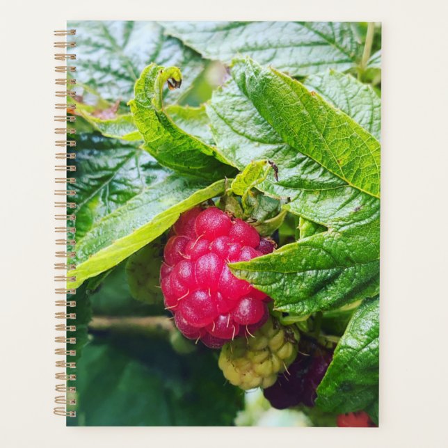 Raspberry Planner (Front)