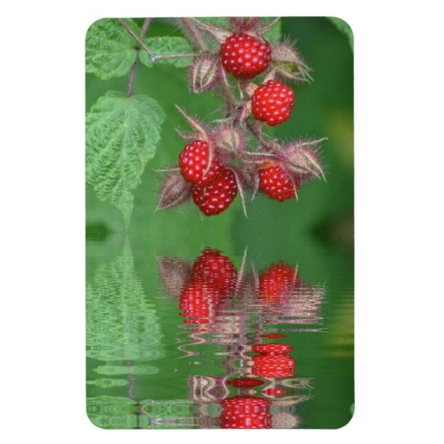 Raspberry Reflections Magnet (Vertical)