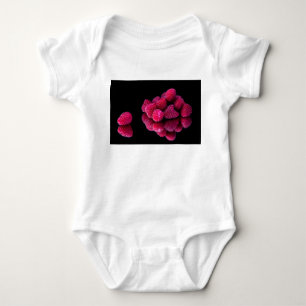 Raspberry Still Life Baby Bodysuit
