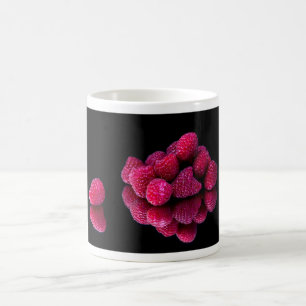 Raspberry Still Life Coffee Mug