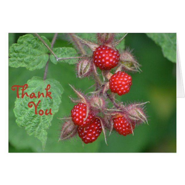 Raspberry Thank You Card (Front Horizontal)