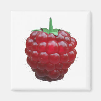 Raspiberry Magnet