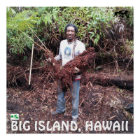 RASTA FARMER WITH HAPUU FERN