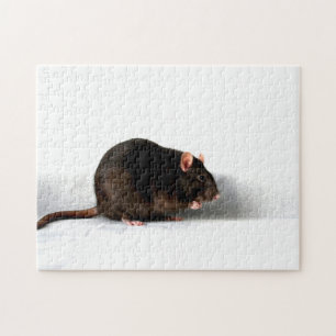 Rat 11x14 252pc jpcn jigsaw puzzle