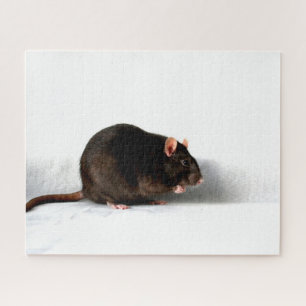 Rat 16x20 520pc jpcna jigsaw puzzle