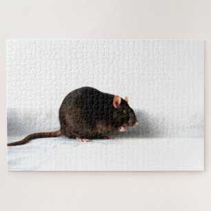 Rat 20x30 1014pc jpcna jigsaw puzzle