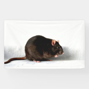 Rat bnrcn banner