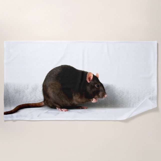 Rat btcna beach towel (Front)
