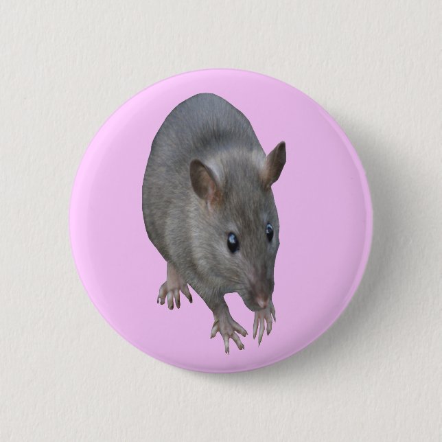 Rat Button (Front)